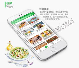 菜譜大全App開發 大廚唾手可得，移動互聯技術賦能美食生活